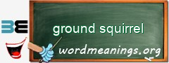 WordMeaning blackboard for ground squirrel